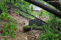 5.17_10:50_[3].jpg